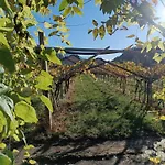 Moderni, Luminosi E Tranquilli Con Parcheggio Privato - Agritur La Tenuta Daire *