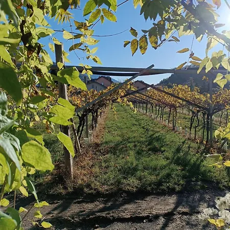 Moderni, Luminosi E Tranquilli Con Parcheggio Privato - Agritur La Tenuta דירה *