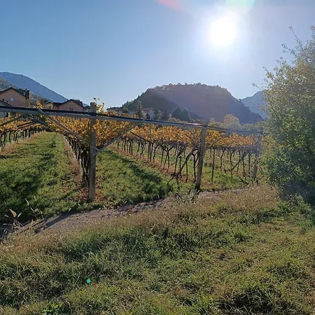 Apartmán Moderni, Luminosi E Tranquilli Con Parcheggio Privato - Agritur La Tenuta Trento