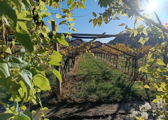 Moderni, Luminosi E Tranquilli Con Parcheggio Privato - Agritur La Tenuta 公寓 *