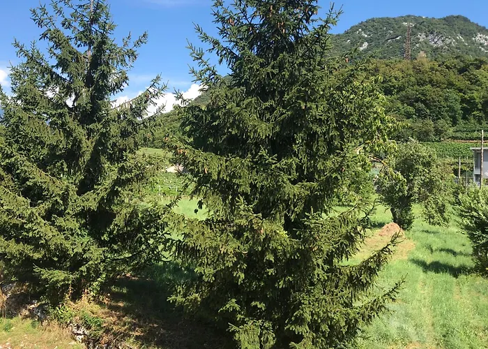 Moderni, Luminosi E Tranquilli Con Parcheggio Privato - Agritur La Tenuta