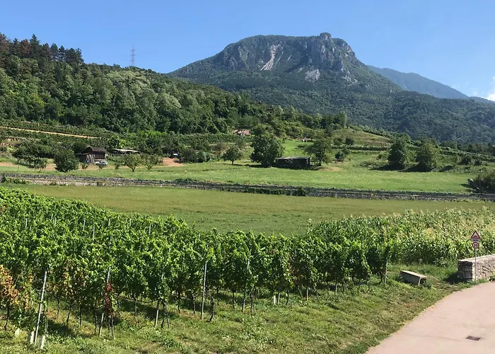 公寓 Moderni, Luminosi E Tranquilli Con Parcheggio Privato - Agritur La Tenuta