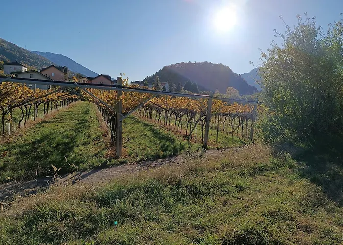 公寓 Moderni, Luminosi E Tranquilli Con Parcheggio Privato - Agritur La Tenuta 特伦托